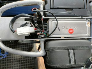 IMG20260402123128.jpg