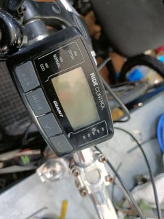 IMG20260402123028.jpg