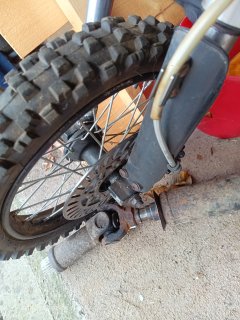 IMG_20260209_122934_861.jpg