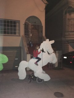 white unicorn.JPG