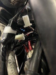 IMG_6012.jpeg IMG_6012.jpeg