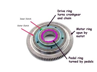 Big Gear_edited-1.jpg