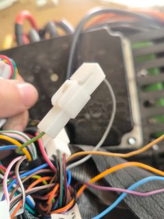 FD11.jpeg