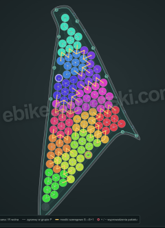 image (11).png