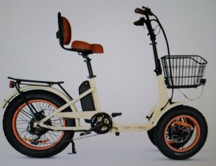 Tadpole Trike.jpg