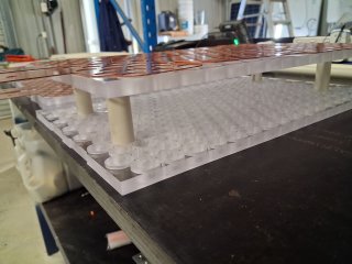 Capture plates with PVC spacers.jpeg
