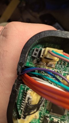 PXL_20260823_172836977.jpg