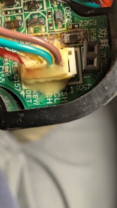 PXL_20260823_172358299.jpg