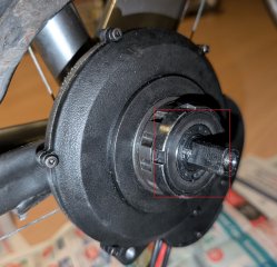 PXL_20260828_013703426.jpg