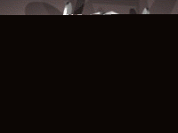 leaner1.gif