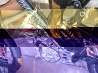 IMG_1147.jpg IMG_1147.jpg