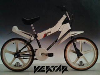 RaleighVektar_1985.jpg