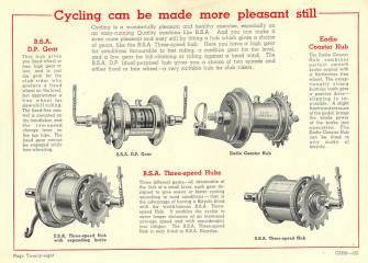 BSA-Cat..gif