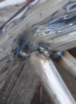 DSC04171.JPG