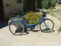 BD 36 on Schwinn trike.JPG BD 36 on Schwinn trike.JPG