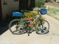 BD 36 on Mongoose bike (1).JPG BD 36 on Mongoose bike (1).JPG