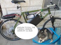 gerbilbike.JPG