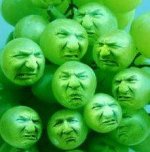 Sour grapes.JPG