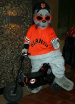 lou'sbike_resize.jpg
