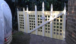 IMAG0567.jpg