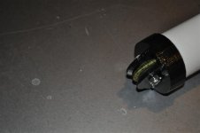 DSC_0117.JPG