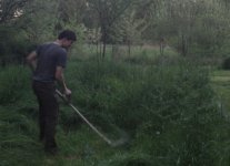 Cutting Grass.jpg