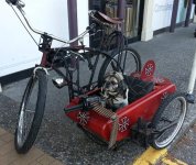 DogSidecar.jpg