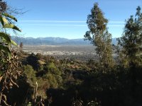 view of the east san gabriel valley.jpg