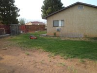 Back Yard.jpg