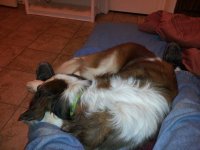 20130723_192504.jpg
