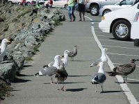 captivated audience.jpg