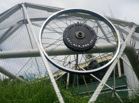 wheel dome.JPG