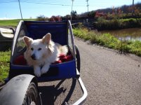 Sandy-park-trike.JPG