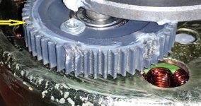 chewed-gears1.jpg