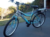 Bike with Bafang and Nexus 001.JPG