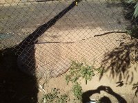 0309141358-02.jpg