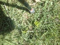 0328141045-01.jpg