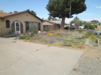 Dogmans House in spring 2014.jpg