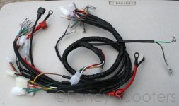 wiring harness (500 x 297).jpg