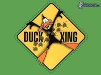 daffy duck xing.jpg