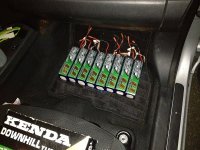 batteries in leaf low res.jpg