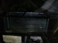 20140908_035005.jpg