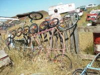 16 Wheel Tall Bike.jpg