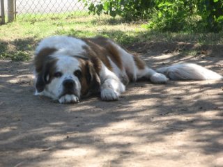 IMG_0652.JPG