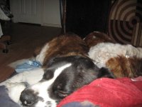 IMG_0778.JPG