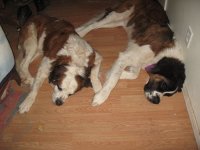 IMG_0794.JPG