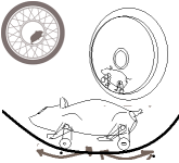 hamster.png hamster.png
