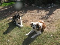 IMG_0835.jpg