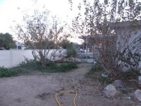 IMG_0913.jpg