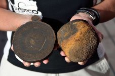 manganese_nodule.jpg manganese_nodule.jpg